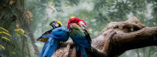 Mobile Internet on Vacation in 2025: Where Does it Work Best?